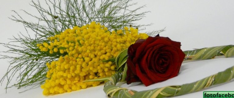 festa-della-donna-750x315